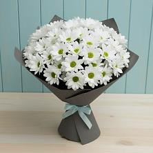 Букет цветов из:  Хризантемы в Санчурске