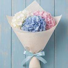 Букет цветов из:  Гортензия в Санчурске