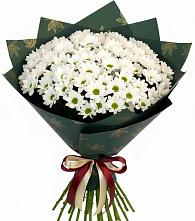 Букет цветов из:  Хризантемы в Санчурске