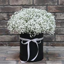 Цветочная композиция из Гипсофила в шляпной коробке #REPLACE_PRED# Санчурске