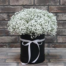 Цветочная композиция из Гипсофила в шляпной коробке в Санчурске
