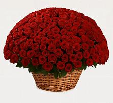 Премиум букет из: Розы в Санчурске