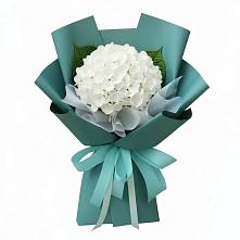 Букет цветов из:  Гортензия #REPLACE_PRED# Санчурске